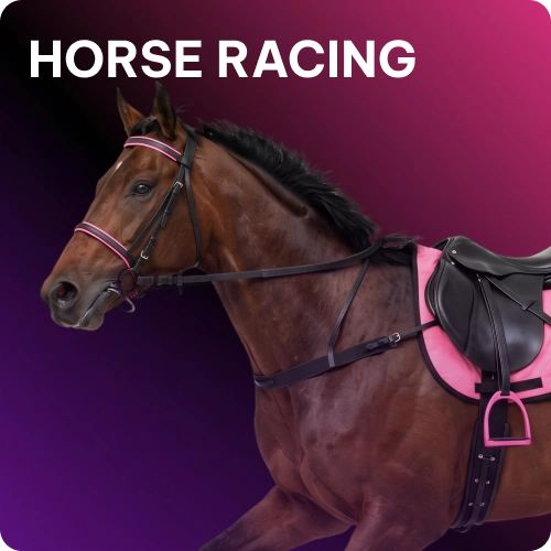 Back your favorite horses and explore top racing odds at Daytona Spin.