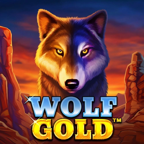 Hunt for native wild jackpots in Wolf Gold on Daytona Spin.